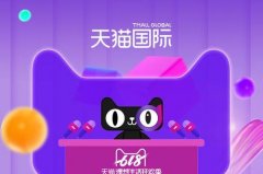 天猫国际的运营模式分析,天游TY8检测中心电商讲解