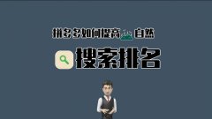 天游TY8检测中心拼多多代运营解析拼多多自然搜索排名规则!